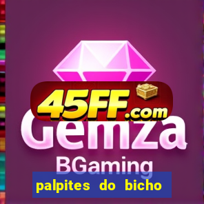 palpites do bicho no celular